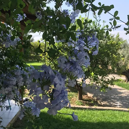 Spiti Ostria Holiday home Aigio