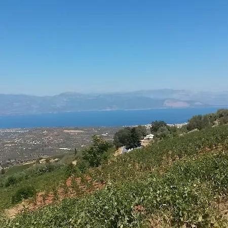 Spiti Ostria Aigio